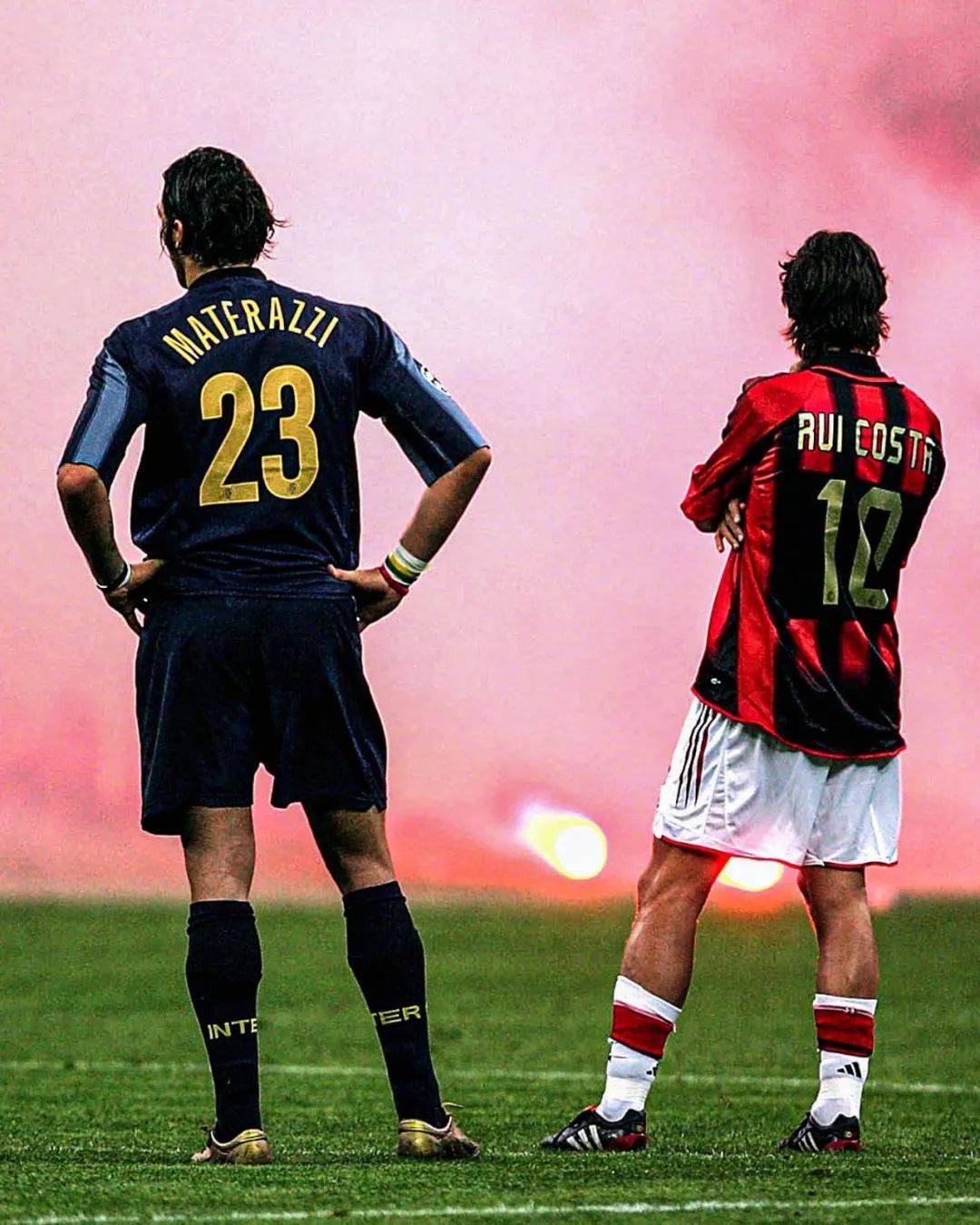 在11月的 在11月的