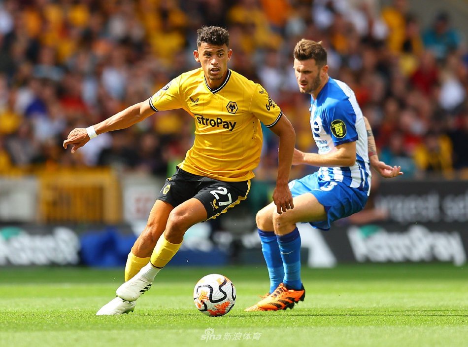 搜索引擎的 搜索引擎的